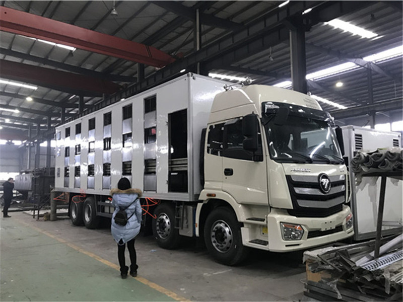 Camión de transporte de ganado de delantero-frente-rear-ocho de Futian Ouman