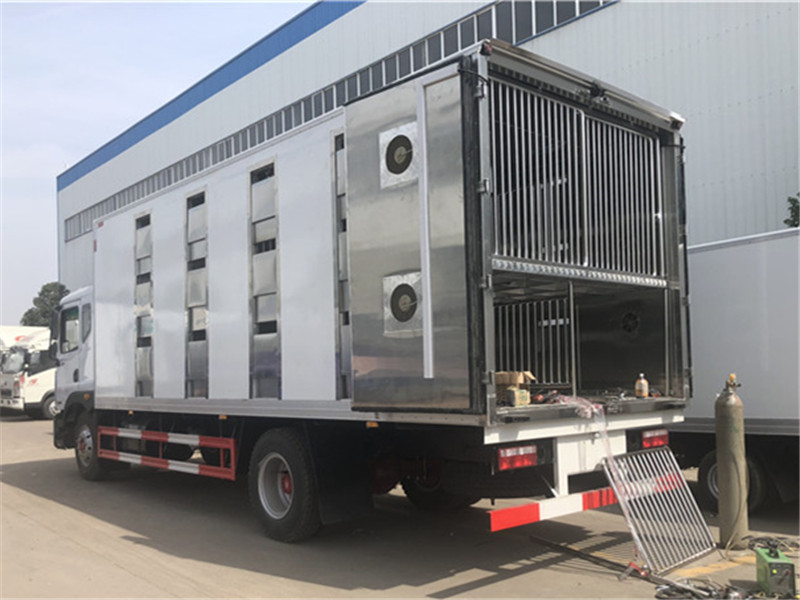 Vehículo de Transporte de Ganado Dongfeng Dolica D9